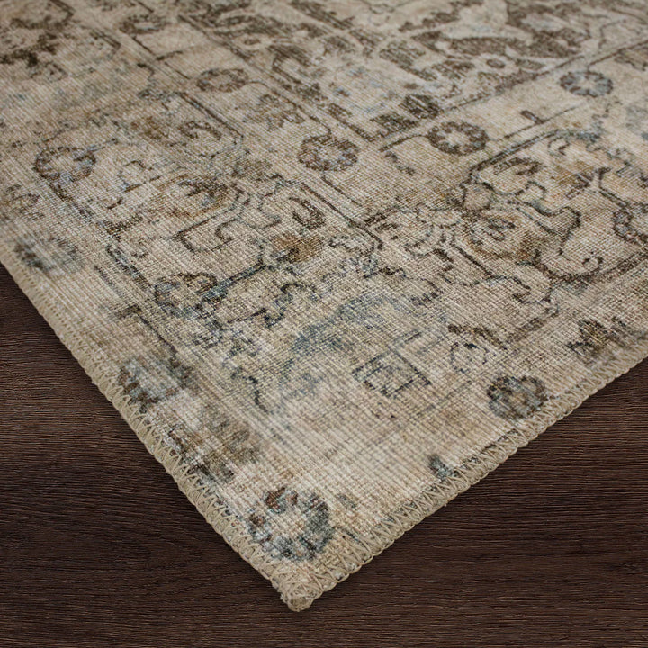 Astara Area Rug